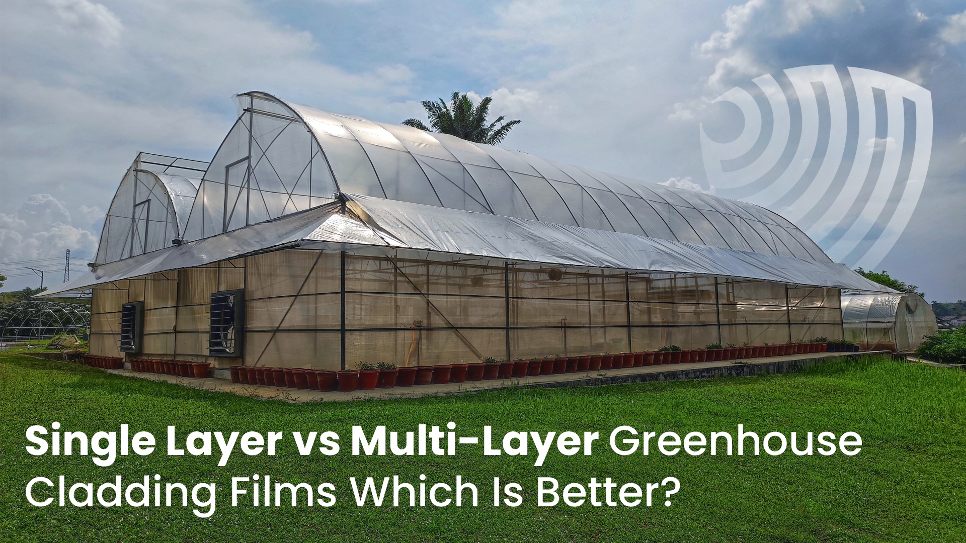 Single Layer vs Multi-Layer Greenhouse Cladding Films: Which Is Better?